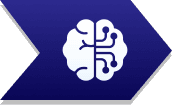 brain